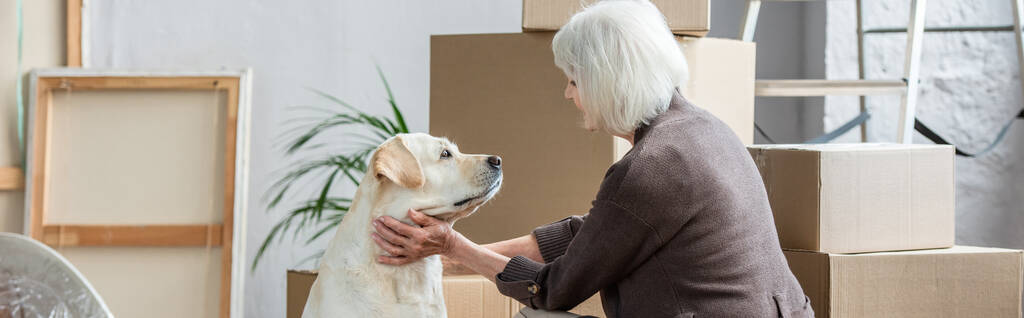 Panoramaaufnahme einer Seniorin beim Streicheln von Hund in neuem Haus mit Pappkartons im Hintergrund - Foto, Bild