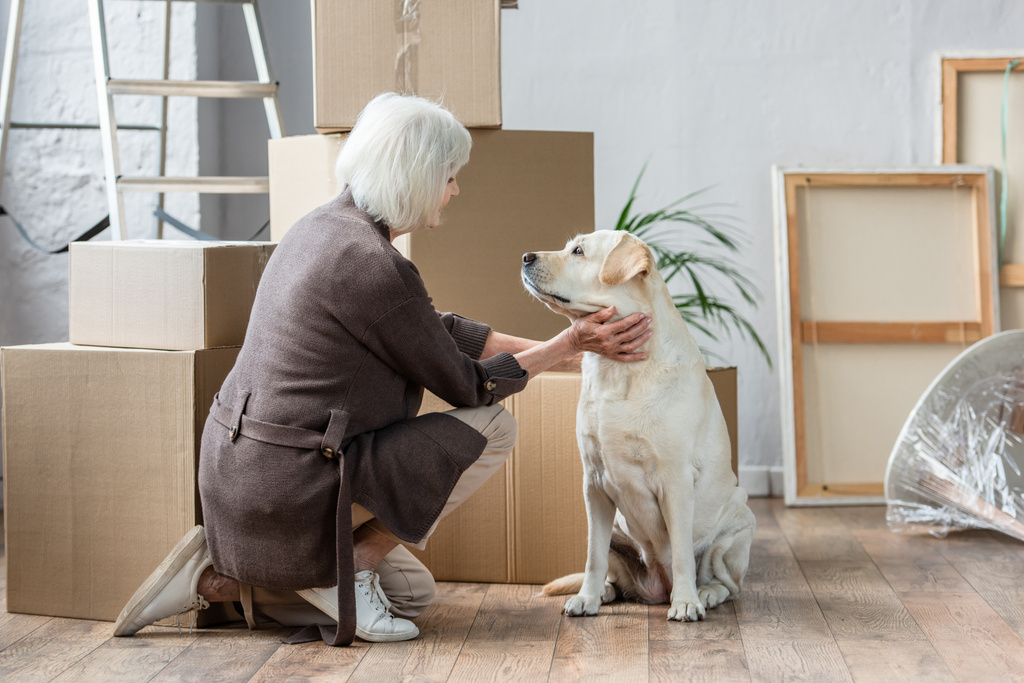 ηλικιωμένη γυναίκα χαϊδεύει το σκυλί στο νέο σπίτι με κουτιά από χαρτόνι στο παρασκήνιο - Φωτογραφία, εικόνα