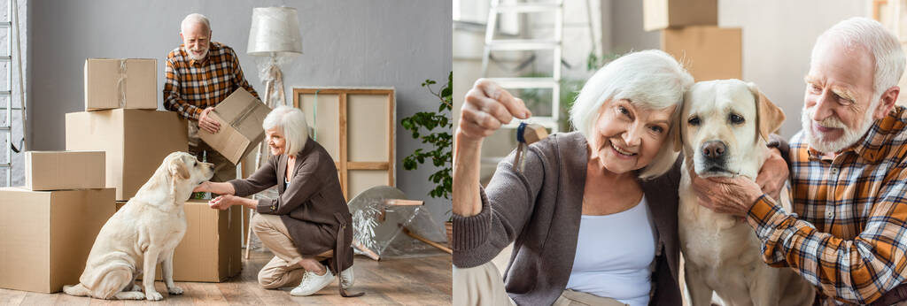collage van senior paar aaien hond en vrouw met sleutels, bewegend concept - Foto, afbeelding