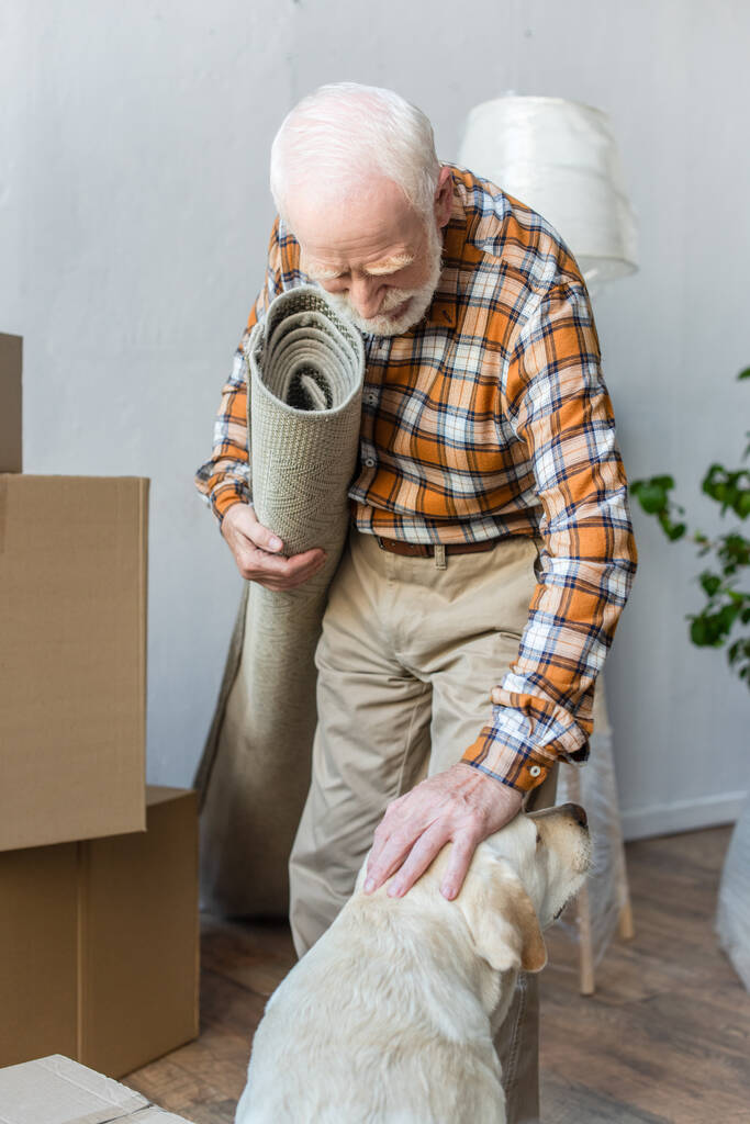 старший мужчина держит ковер и ласковая собака  - Фото, изображение