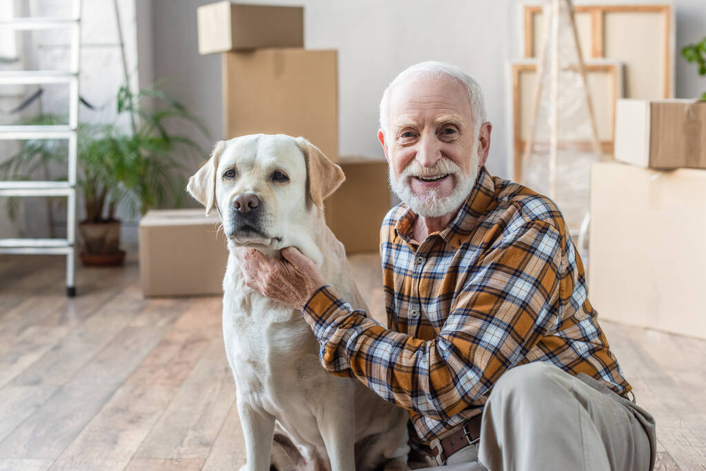 heureux homme âgé assis sur le sol et chien caressant avec des boîtes en carton sur fond - Photo, image