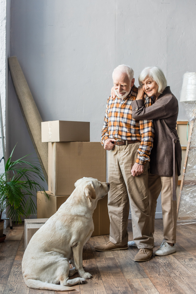 pleine longueur de couple âgé joyeux regardant chien avec des boîtes en carton sur fond - Photo, image