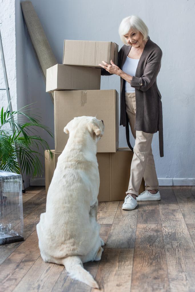 glimlachende senior vrouw vouwen kartonnen dozen en kijken naar hond, bewegend concept - Foto, afbeelding
