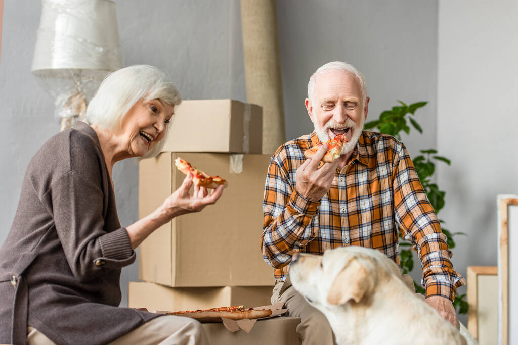 Lachendes Seniorenpaar isst Pizza in neuem Haus und Hund sitzt in der Nähe - Foto, Bild