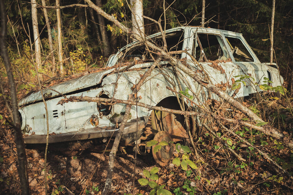 старый автомобиль брошен в лесу / Старый автомобиль в лесу.  - Фото, изображение