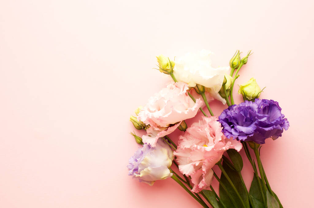 Beautiful pink and white eustoma flowers (lisianthus) in full bloom with green leaves. Bouquet of flowers on a pink background.	 - Φωτογραφία, εικόνα