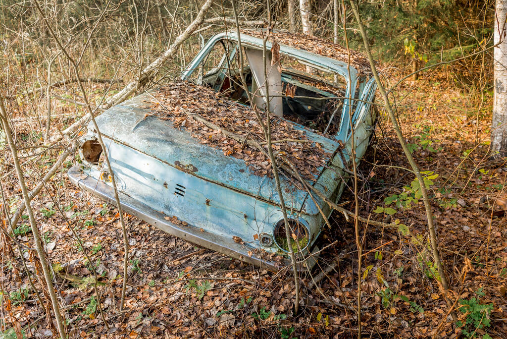 森の中の古い車/森の中の古い車.  - 写真・画像