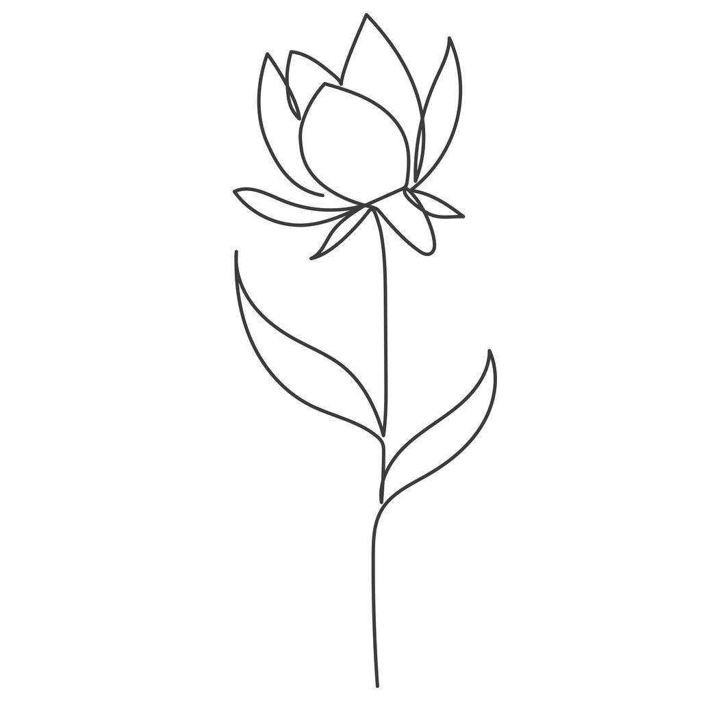 Рослина, намальована у векторі однією неперервною лінією. Векторні ілюстрації
 - Вектор, зображення