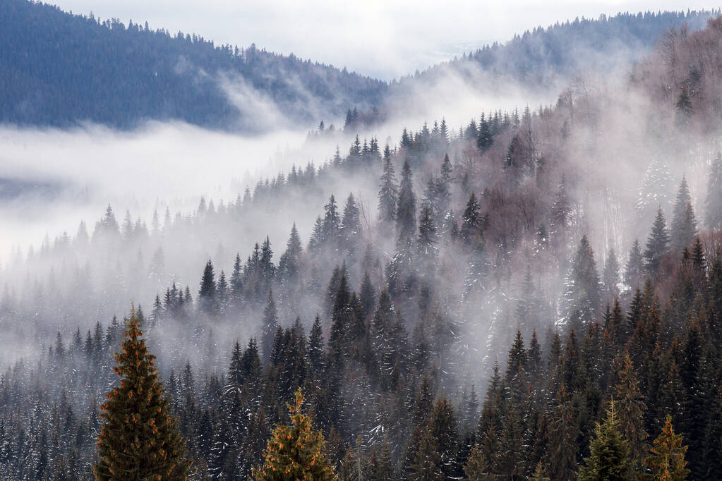 Hermosa niebla ascendente en invierno paisaje de montaña.  - Foto, imagen
