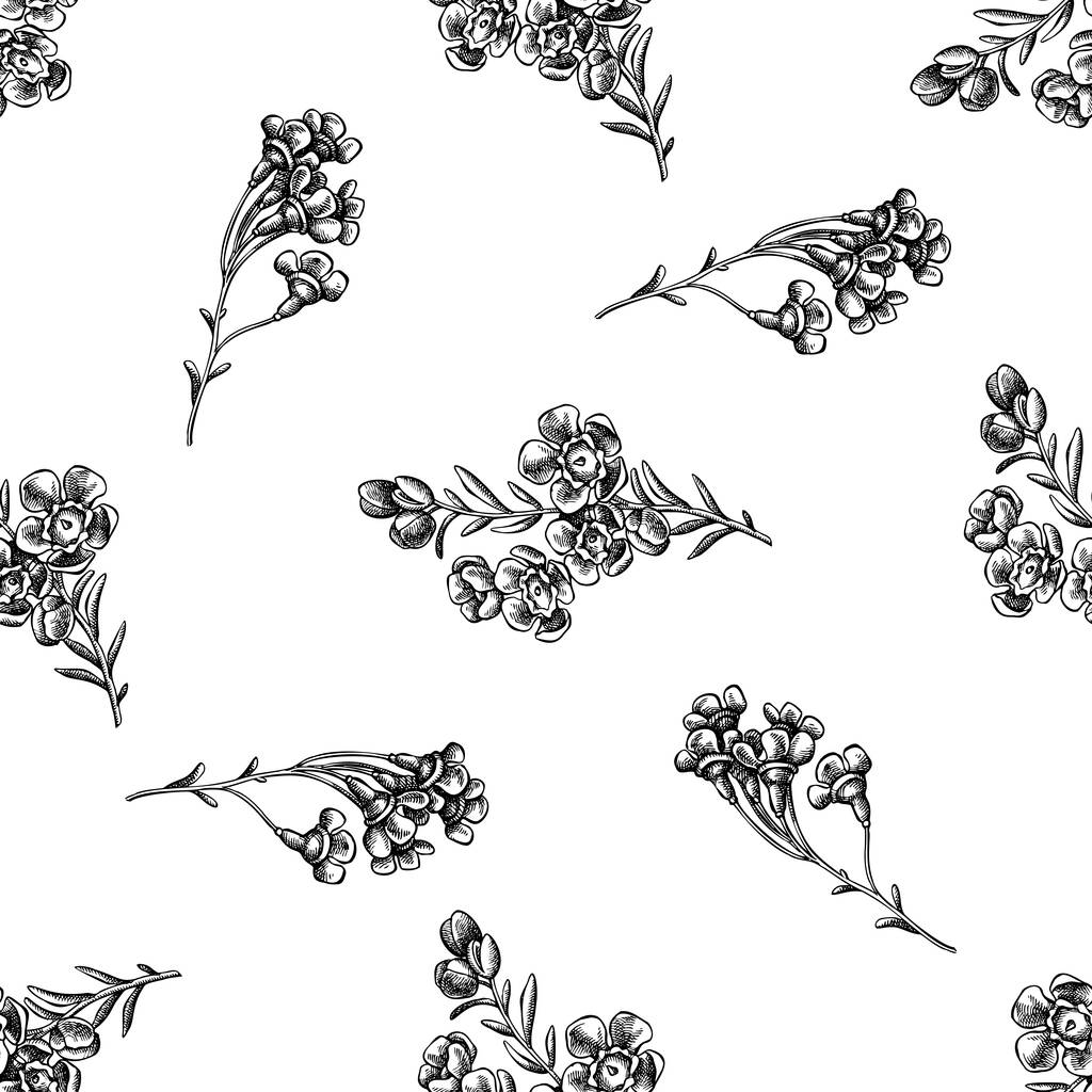 Naadloos patroon met zwarte en witte wasbloem - Vector, afbeelding