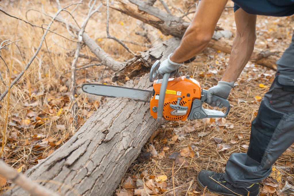 Nahaufnahme eines Holzfällers mit Kettensäge im Wald - Foto, Bild