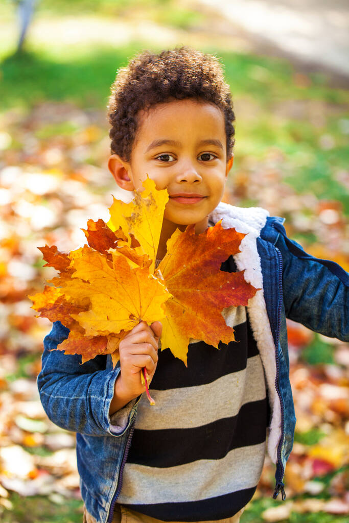 vier jaar oud jongetje poseren in de herfst park - Foto, afbeelding