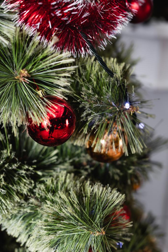 Selective focus of red christmas ball on pine branch - Photo, Image