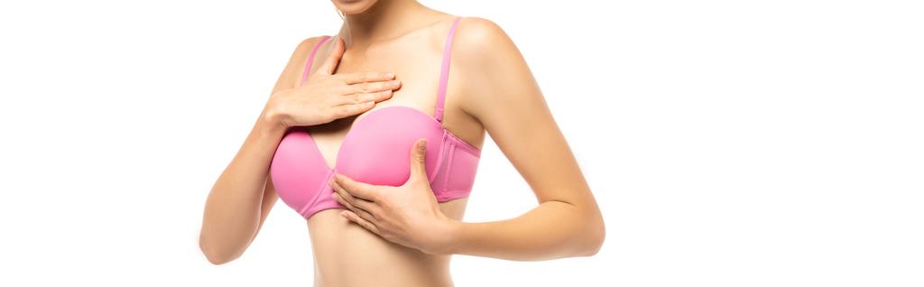 Sito web intestazione di giovane donna toccare il seno in reggiseno rosa isolato su bianco, concetto di cancro al seno  - Foto, immagini