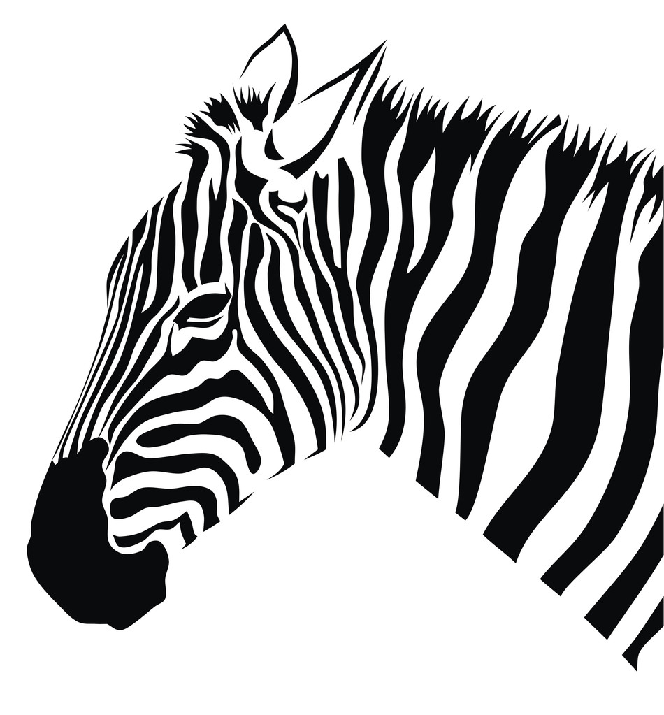 Zebra.
 - Vetor, Imagem