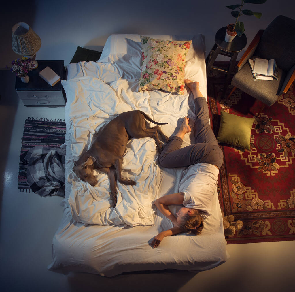 Porträt einer Züchterin, die mit ihrem Hund zu Hause im Bett schläft - Foto, Bild