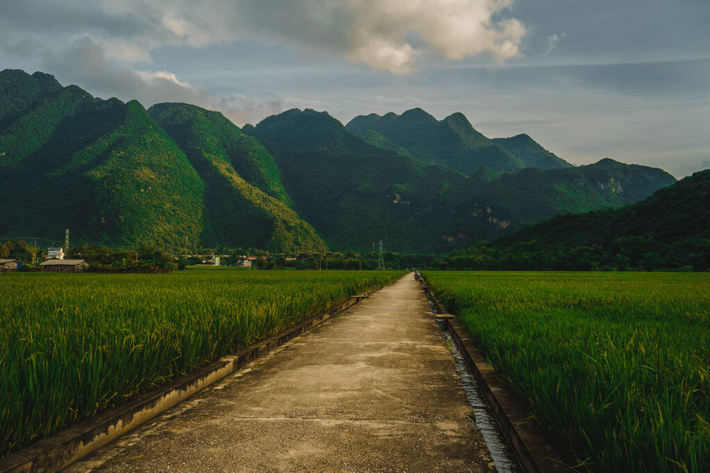 Террасовое рисовое поле с сельской дорогой в деревне Лак, долина Май Чау, Вьетнам, Юго-Восточная Азия. Концепция путешествия и природы. - Фото, изображение