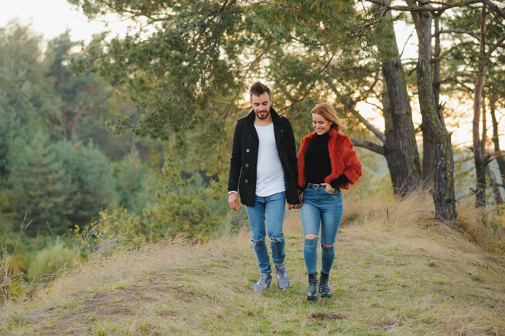 若いですカップルで愛歩くで秋の公園保持手で夕日を見て - 写真・画像