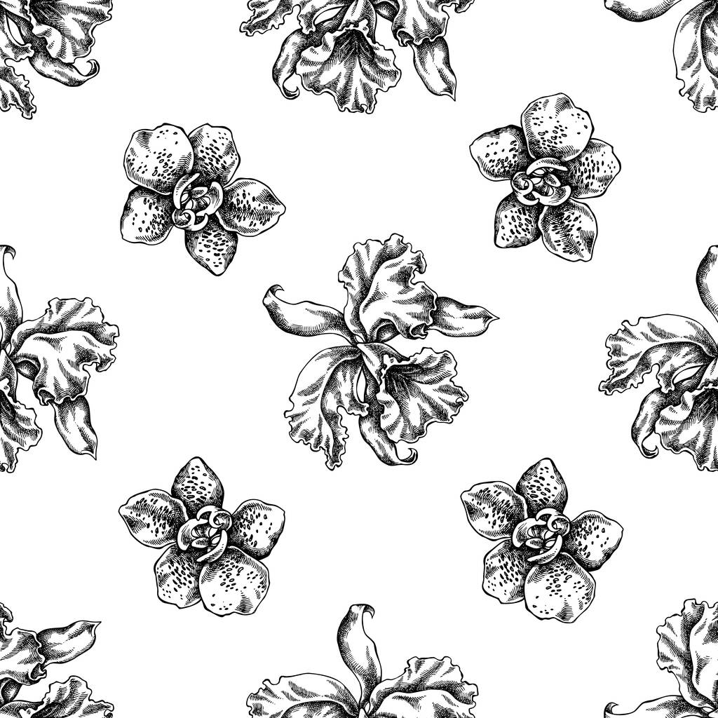 Patrón sin costura con orquídea en blanco y negro - Vector, imagen