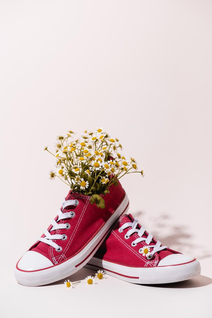 casual scarpe da ginnastica rosse con camomilla su sfondo bianco - Foto, immagini
