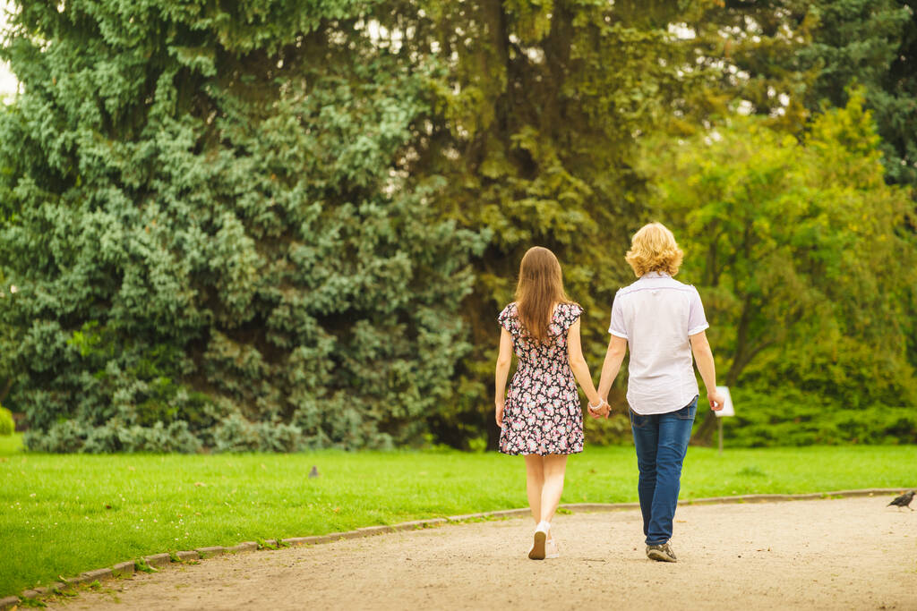 Вид ззаду пари, що ходить у прекрасному парку під час літньої погоди, тримаючи руки разом
. - Фото, зображення
