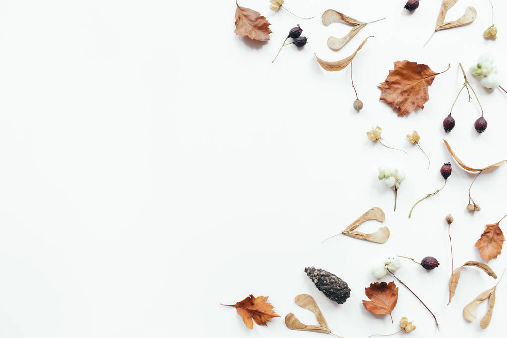 Autumn composition. Autumn leaves on white background. Flat lay, top view, copy space - Photo, Image