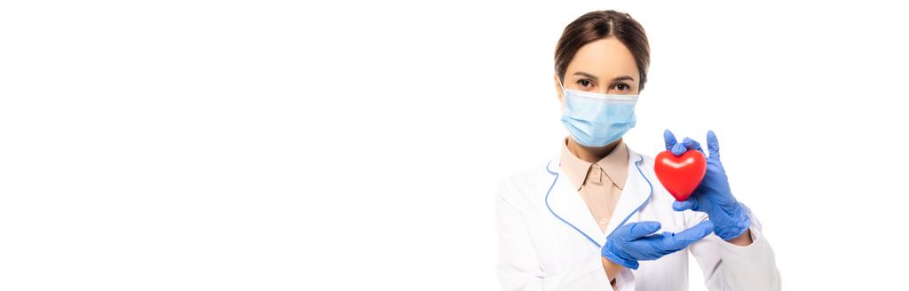 Cultura horizontal de médico em máscara médica mostrando coração isolado em branco - Foto, Imagem