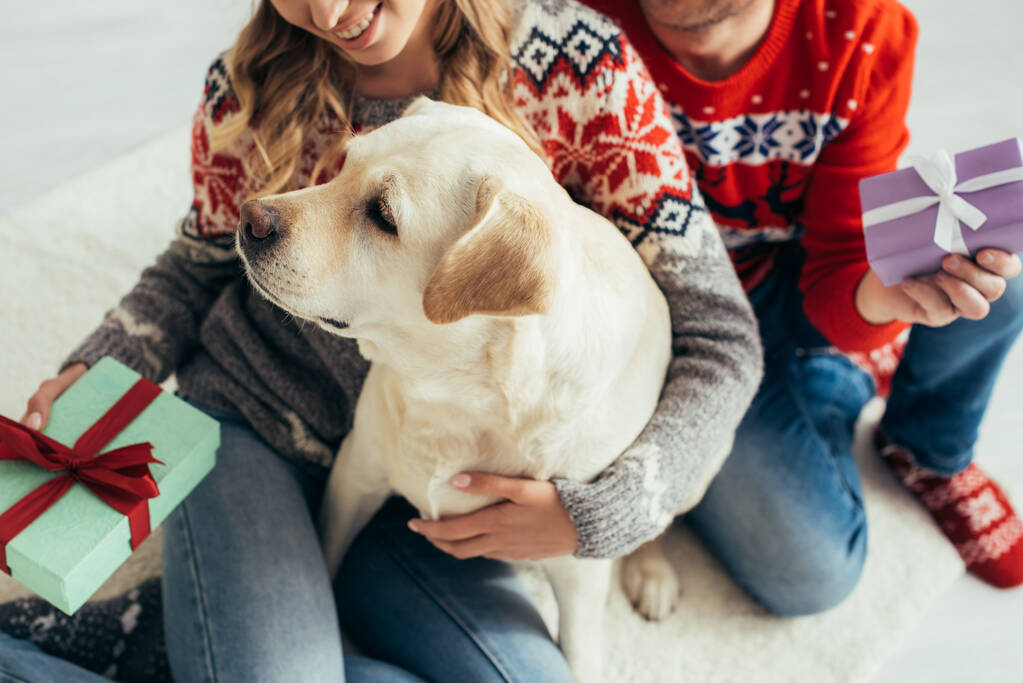vista cortada de feliz casal segurando presentes perto de cão e árvore de Natal em casa - Foto, Imagem