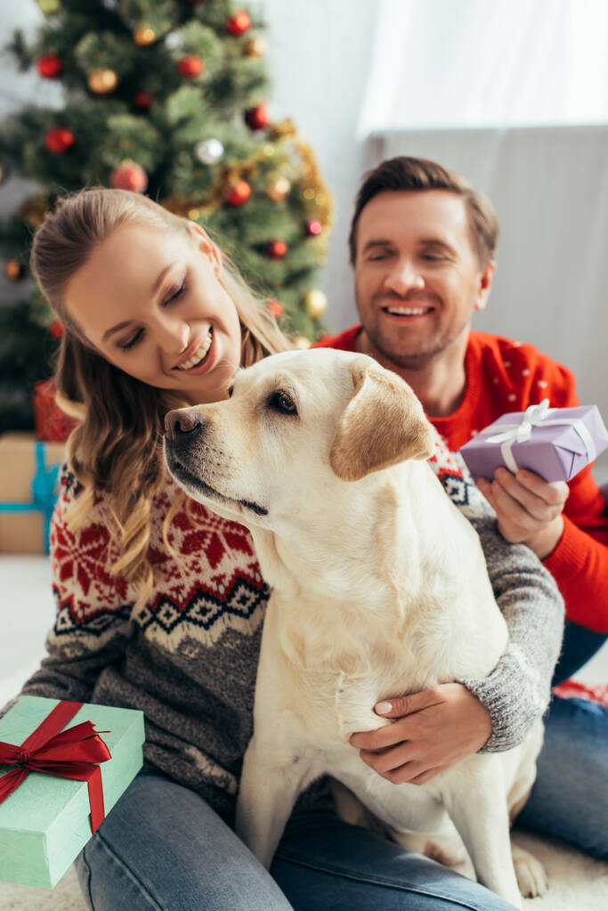 pareja sosteniendo regalos cerca de perro y árbol de Navidad en casa - Foto, Imagen