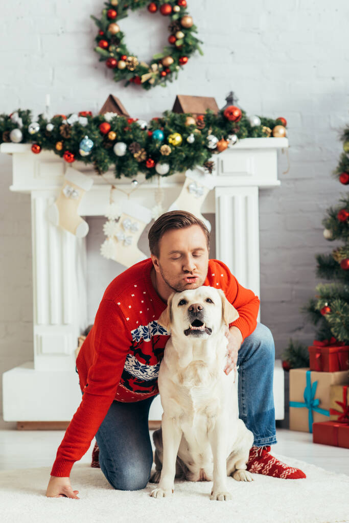 vicces férfi pulóverben ölelés labrador díszített lakás, karácsonyi koncepció  - Fotó, kép