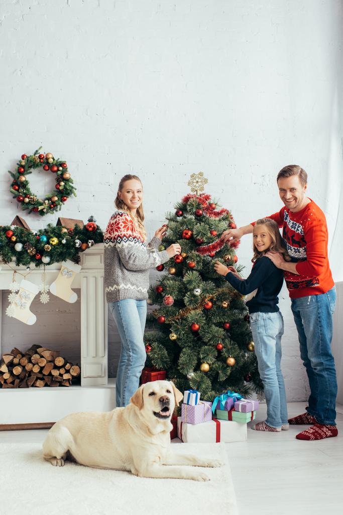 ευτυχισμένη οικογένεια διακόσμηση χριστουγεννιάτικο δέντρο κοντά λαμπραντόρ στο σαλόνι - Φωτογραφία, εικόνα