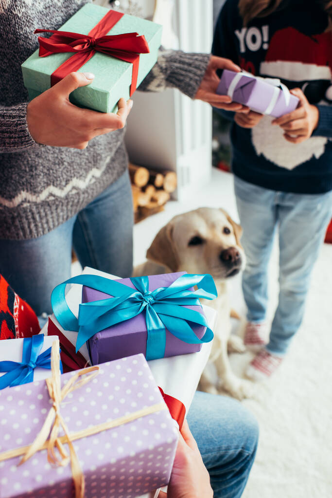 vue recadrée des parents tenant des cadeaux près de leur fille et de leur chien à Noël  - Photo, image
