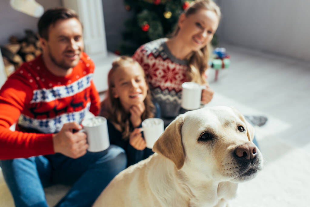Labrador cerca de familia alegre en suéteres con copas en las manos sobre fondo borroso  - Foto, imagen