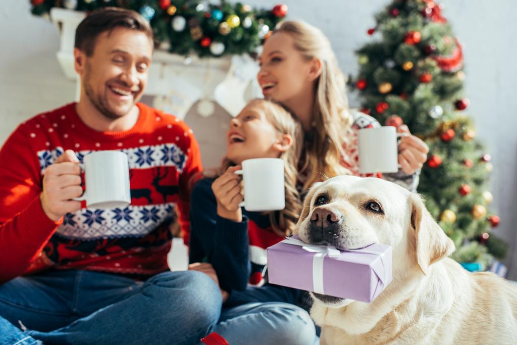 labrador houden aanwezig in de buurt van vrolijke familie in truien met cups in handen op wazig achtergrond  - Foto, afbeelding
