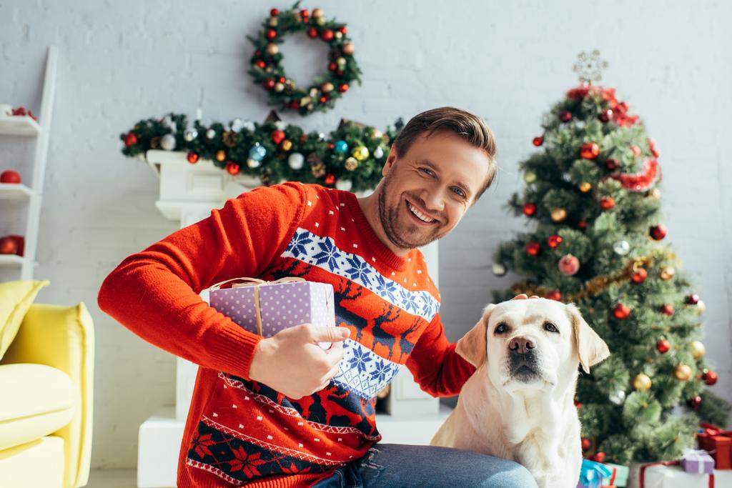 joyful man in sweater cuddling labrador and holding present near decorated christmas tree  - Photo, Image