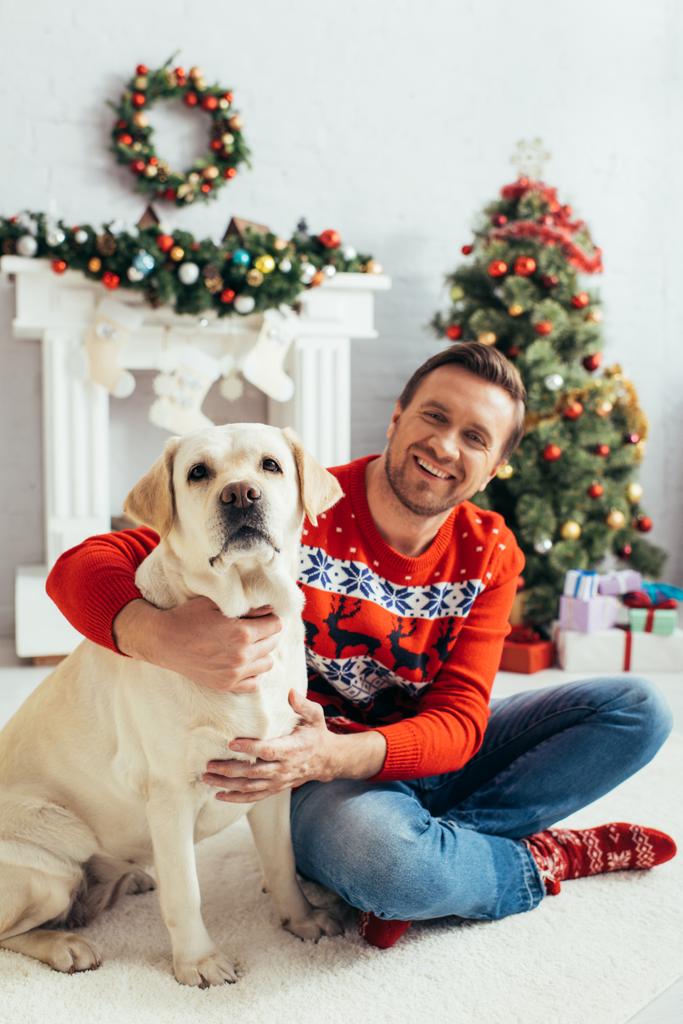 šťastný muž v červeném svetru sedí s labrador v blízkosti vánočního stromečku - Fotografie, Obrázek