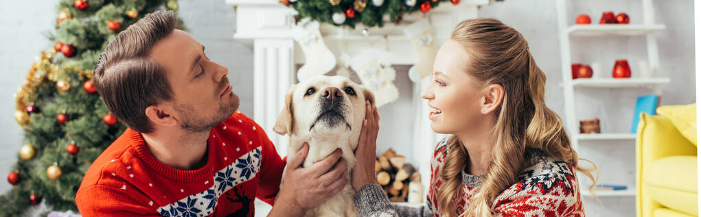 pareja en suéteres de punto abrazando labrador en apartamento decorado en Navidad, pancarta - Foto, imagen