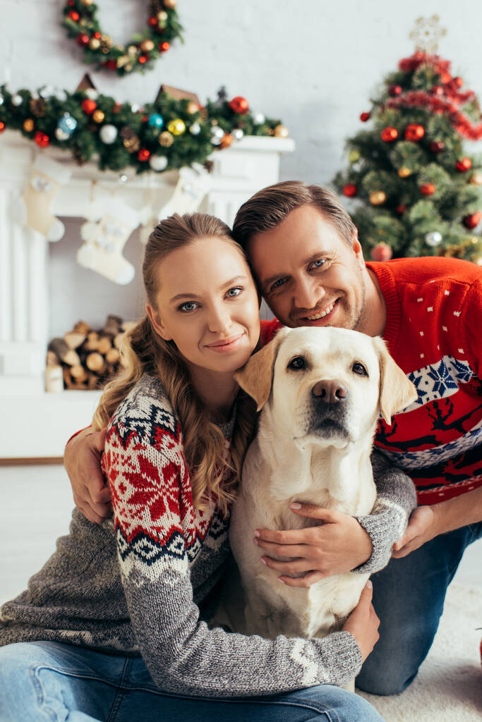 happy couple in knitted sweaters hugging labrador in decorated apartment on christmas  - Photo, Image