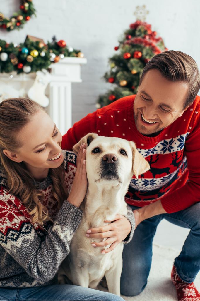 boldog pár kötött pulóverben ölelkező labrador díszített lakásban karácsonykor  - Fotó, kép