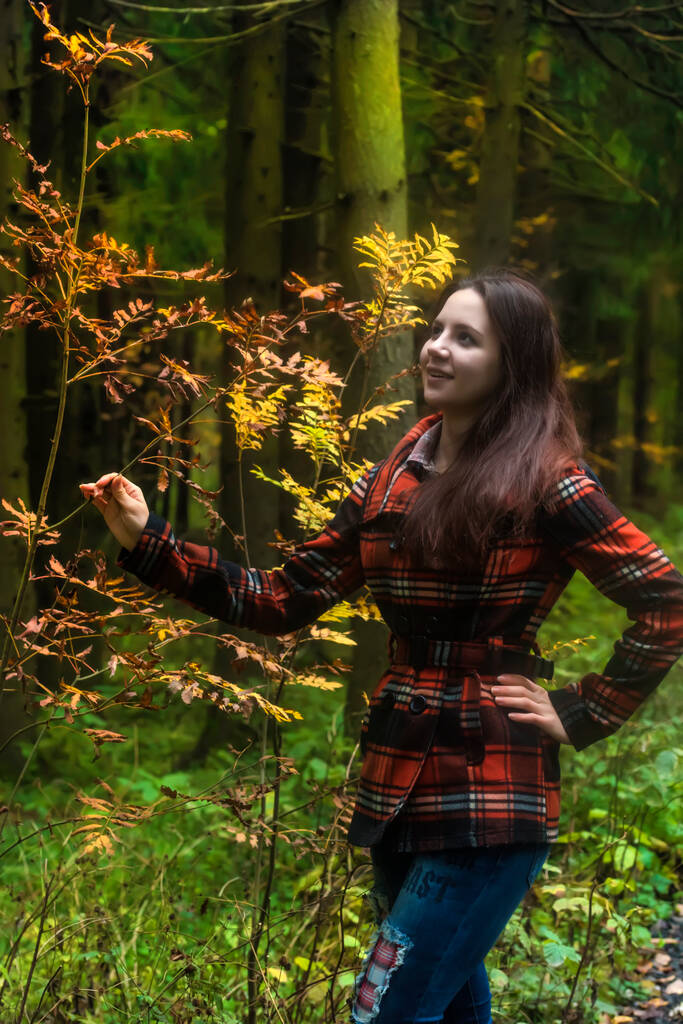 jovencita morena en un abrigo a cuadros en el bosque de otoño - Foto, imagen