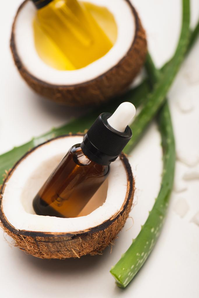 frascos de aceites esenciales en mitades de coco cerca de hojas de aloe vera sobre fondo blanco borroso - Foto, Imagen