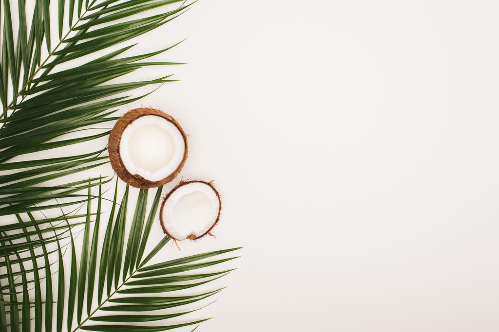 top view of coconut halves near palm leaves on white background with copy space - Photo, Image