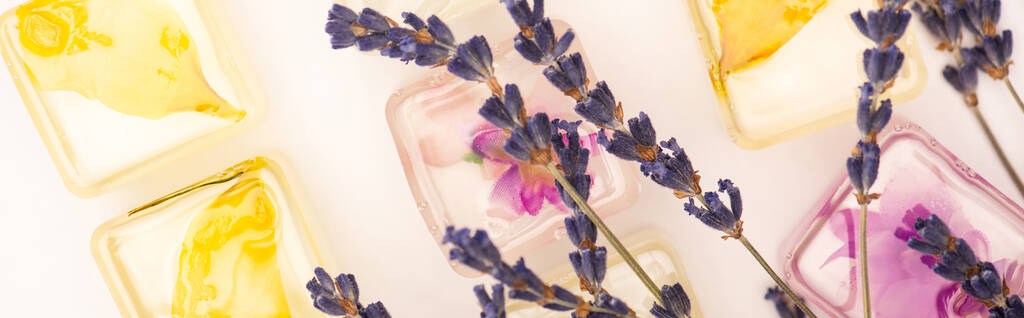 вид сверху на лавандовые цветы на травяных и фруктовых кубиках льда на белом, баннер - Фото, изображение