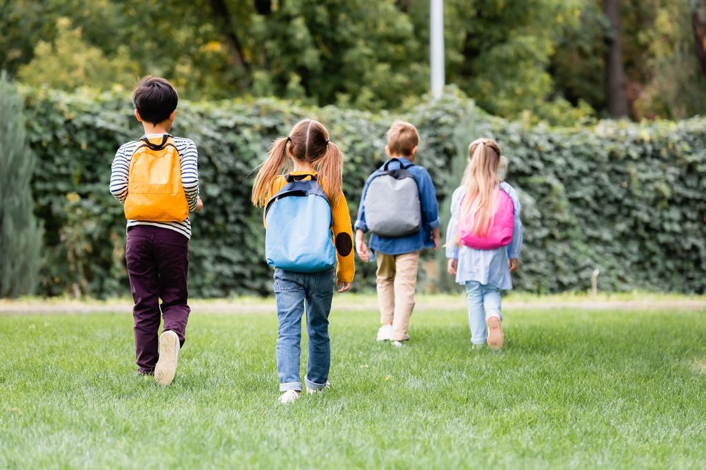 Вид ззаду дітей з рюкзаками, що ходять поруч з друзями на розмитому фоні на відкритому повітрі
 - Фото, зображення