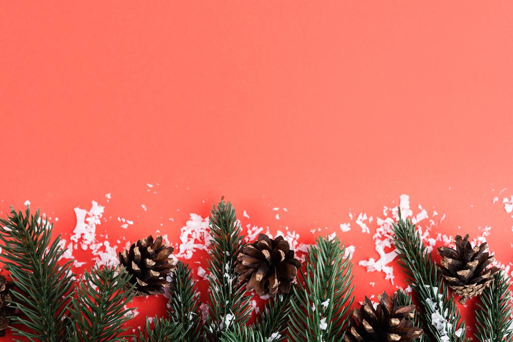 モミの枝と人工雪、新年のコンセプトと松のコーン - 写真・画像
