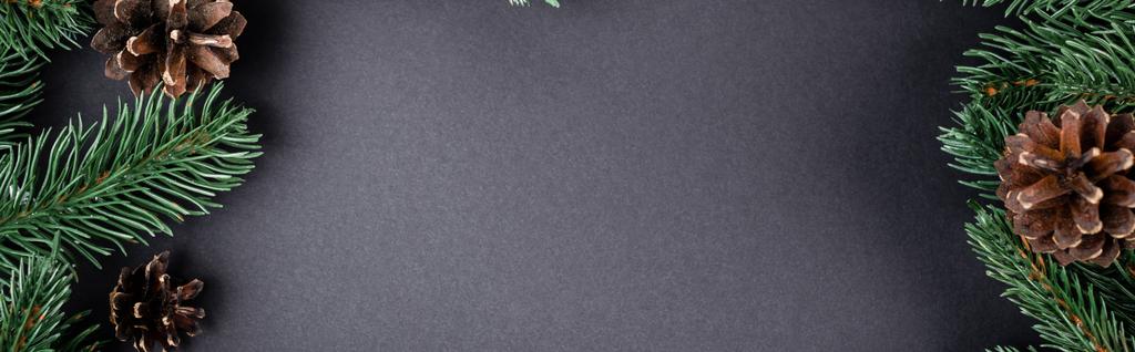 Šišky borovice s jedlovými větvemi na černém pozadí, novoroční koncept, banner - Fotografie, Obrázek