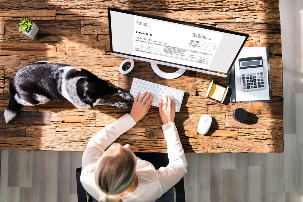 Online Electronic Invoice Management On Desktop Computer - Photo, Image