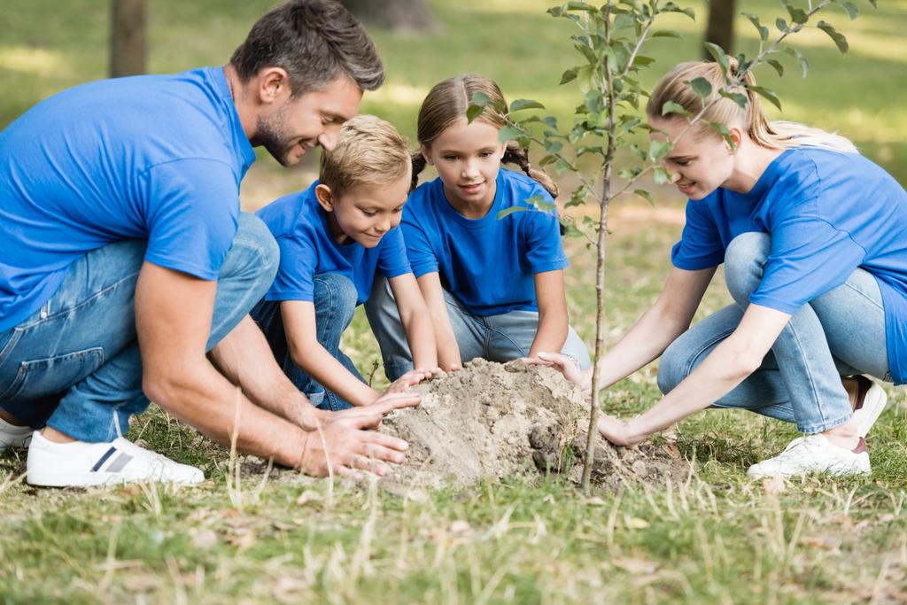 οικογένεια εθελοντών που φυτεύουν νεαρά δέντρα στο δάσος, έννοια οικολογίας - Φωτογραφία, εικόνα