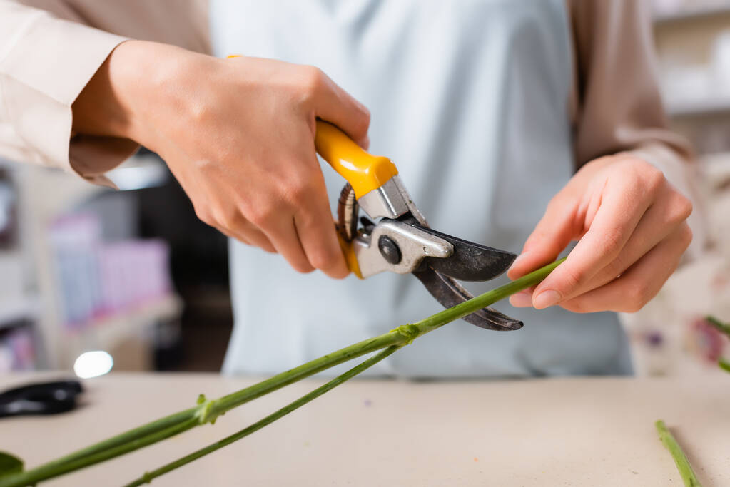 partial view of florist cutting plant steam with secateurs on blurred background - Photo, Image