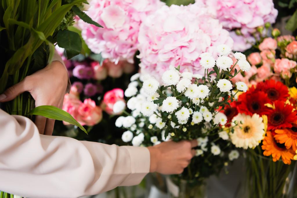 Przycięty widok kwiaciarni biorąc oddział chryzantemy, podczas zbierania bukiet w pobliżu zakresu kwiatów na rozmytym tle - Zdjęcie, obraz